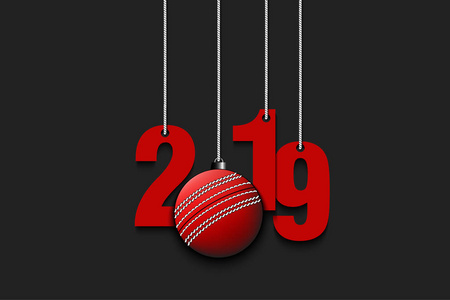 2019新年和板球球挂在字符串
