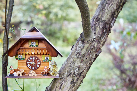 木制挂钟以房子的形式站立在树枝上。在明亮的绿色背景下