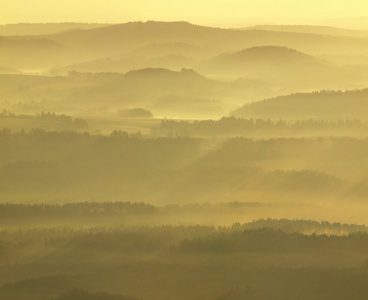 冷金色的春天的黎明。森林峰增加从太阳光线与黄色和橙色的浓雾里