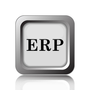 Erp 图标。白色背景上的互联网按钮