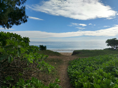 路径与 Naupaka 植物和草衬里方式到海滩上温和的波浪圈在马纳洛海滩上的一个美好的一天瓦胡岛, 夏威夷