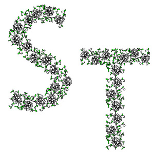 手绘图观赏字母表。信 st