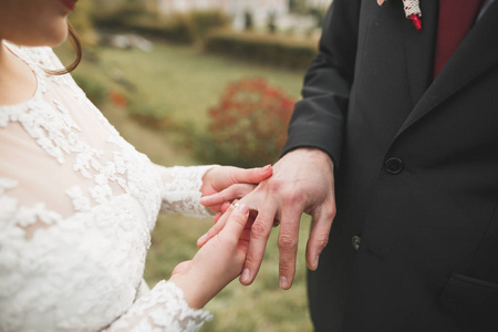 新娘和新郎交换结婚戒指。时髦的夫妻官方仪式