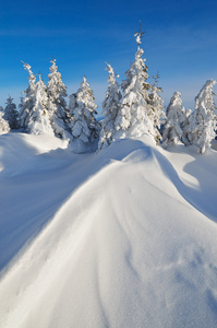 雪沙丘