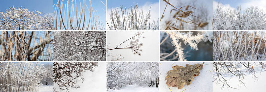 从自然冰雪景观水平的冬拼贴画