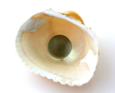 孤立的珍珠壳