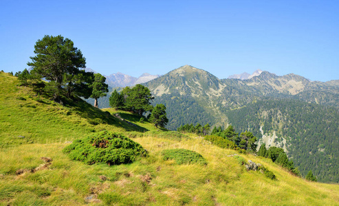 美丽的山风景在 Neouvielle 国家自然保护区, 法国比利牛斯山脉