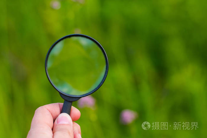 在植被的背景下用放大镜手