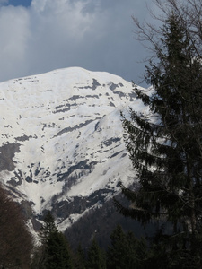 山景