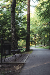 穆迪, 公园里的路的黑暗照片, 森林之间的公园板凳在它的一侧不饱和, 复古看, 秋天的日子