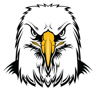 秃鹰头是鹰头的图形样式的插图.完美的老鹰吉祥物照片
