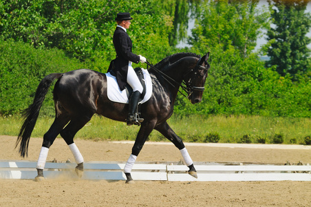 先进盛装舞步测试照片