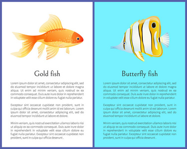 蝴蝶和金鱼五颜六色的海报与文本