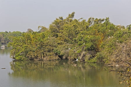 Ranganathittu 鸟类保护区