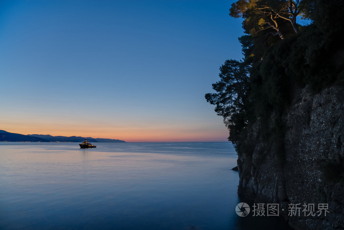 波托菲诺公园松树树岩