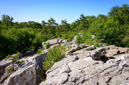 马里兰 Catoctin 山公园