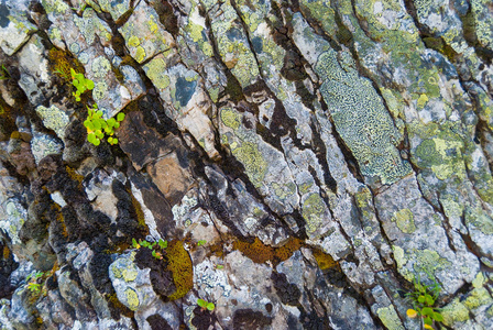 碎屑岩裂纹覆盖灰色岩石的封闭摄影图