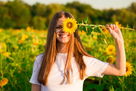 快乐的女孩与向日葵享受自然和笑在夏天向日葵领域