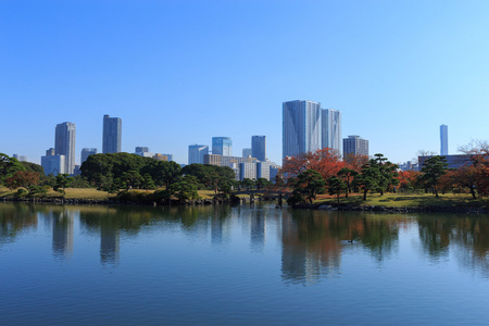 秋天的落叶在离宫花园，东京