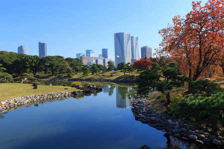 秋天的落叶在离宫花园，东京