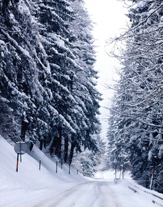 奥地利冬季降雪在山路上