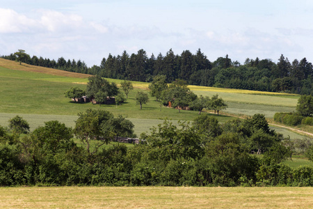 在6月的一个非常阳光明媚的一天, 在德国南部, 你看到草玉米和植物在绿色橄榄色之前的树木和森林在一个景观在农村