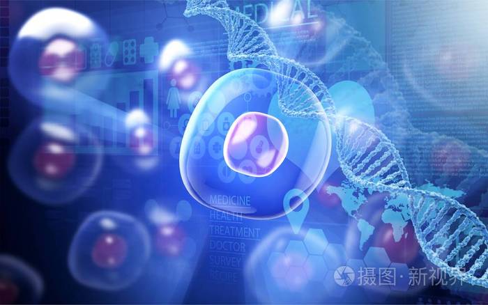 干細胞通用要求 全文_聯運通用平托盤 性能要求_學生用品安全通用要求