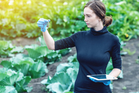 硝酸和一个年轻的农艺师漂亮的女人拿着泥土样本和一块药片.