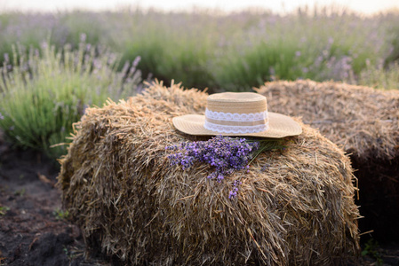 稻草帽子在干草场的背景下, 薰衣草领域