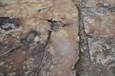 俄罗斯卡尔巴克塔什的奇怪人物的石油字形。俄罗斯阿尔泰山的古代岩画