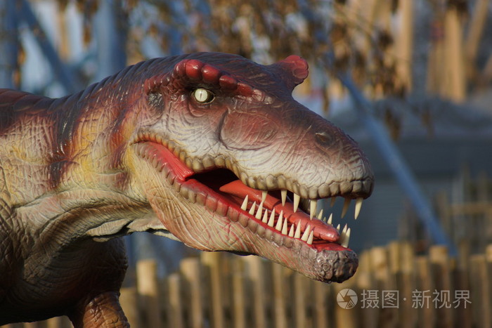 异特龙-脆弱类杆菌异特龙照片-正版商用图片08r0l8-摄图新视界