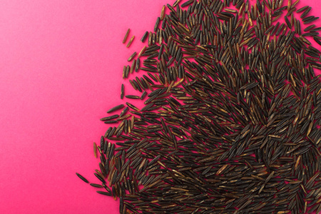 原始的黑野生米在粉红色或红色纸背景上部看法平躺。健康饮食加拿大生物大米谷物纹理与文本位置