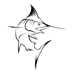 马林鱼动物图片