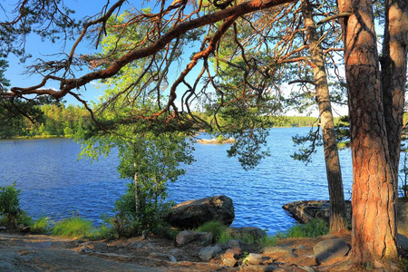 美丽的自然景观观。湖与岩石海岸线, 蓝色水表面和绿树在蓝天以白云背景。瑞典欧洲