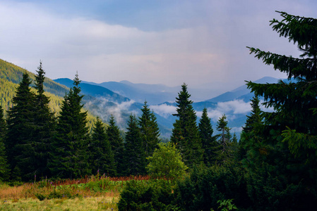 戏剧性的景色在山前的暴风雨沉重的灰色云漂浮在绿色的山脊上, 覆盖着针叶树