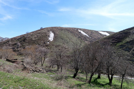 山石头, 山, 绿色草甸, 春天风景