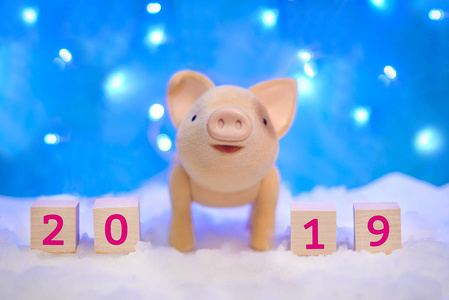 圣诞节假期图片与猪在雪和2019新年在蓝色背景灯