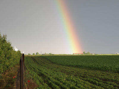 美丽的双彩虹在田野里