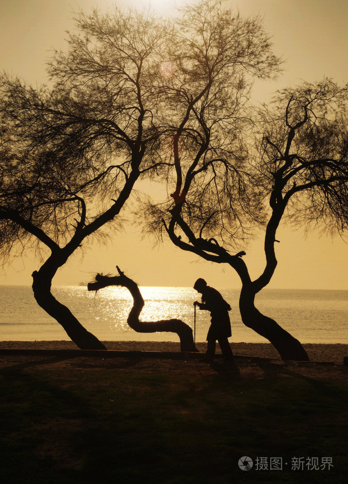 人和树老人的女人走在一根手杖