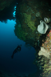 潜水员 海绵 珊瑚礁在安汶，印度尼西亚马鲁古群岛的水下照片