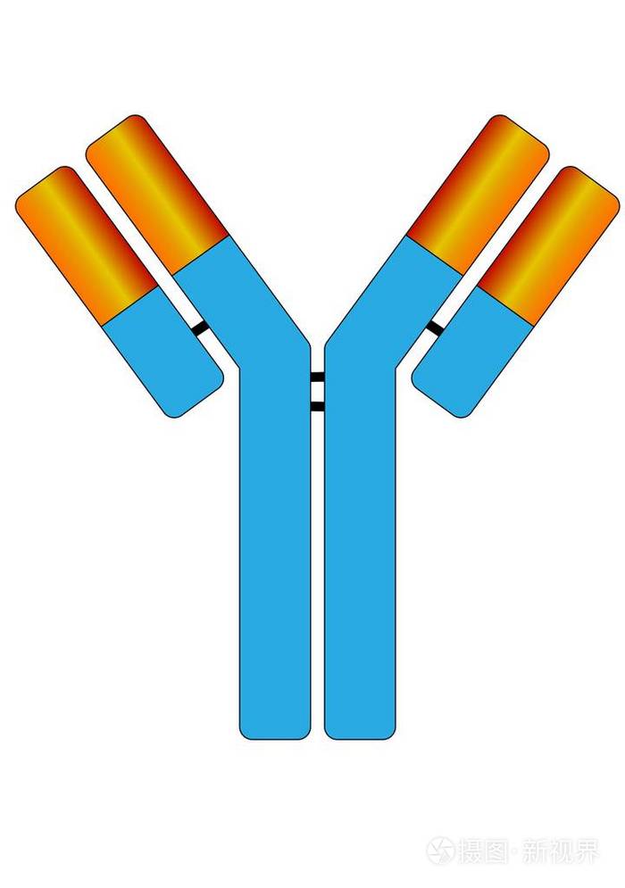 抗体图示图片