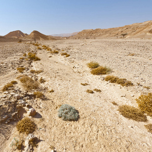 在以色列南沙漠的岩石丘陵的忧郁和空虚。壮观的风景和中东的性质
