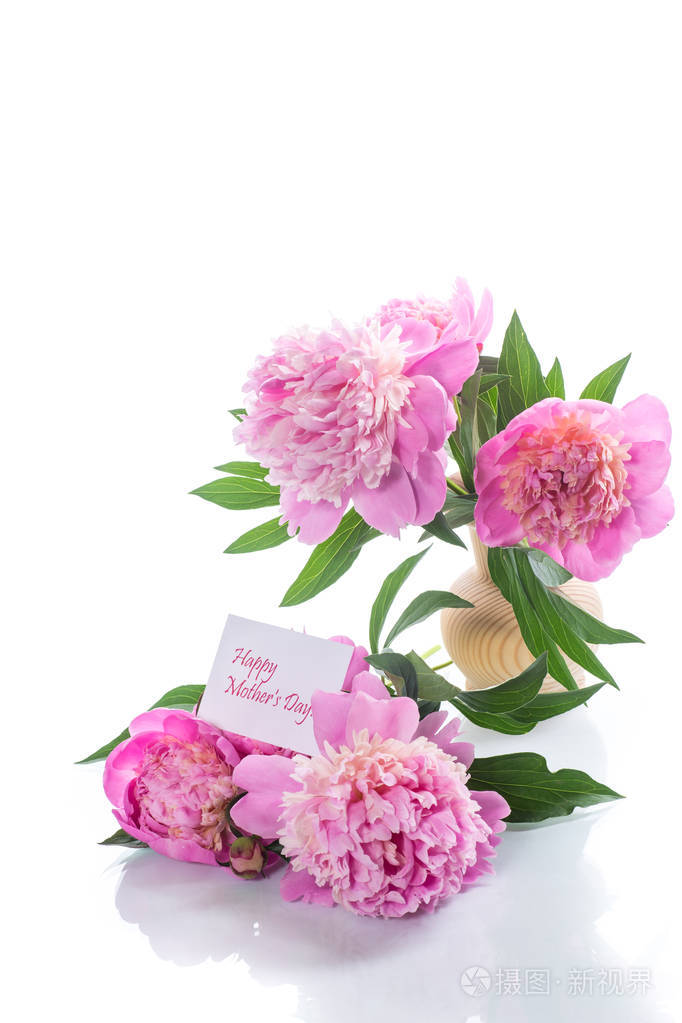 白色背景的盛开的牡丹花束