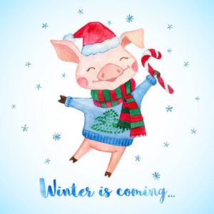 新年贺卡与可爱的猪在圣诞老人的帽子, 毛衣和围巾。2019中国新年的猪。水彩插图