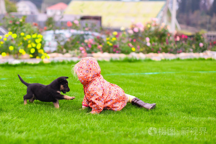 可爱的小女孩和她的小狗户外玩耍
