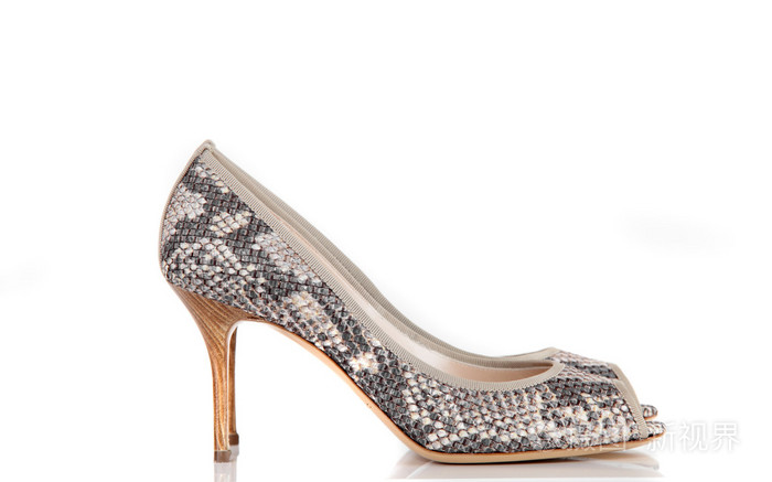 白色背景上的现代鞋