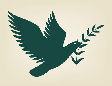 鸽子橄榄枝图片