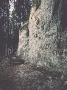 拉脱维亚 Gaujas 国家公园的古砂岩悬崖