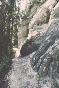 拉脱维亚 Gaujas 国家公园的古砂岩悬崖
