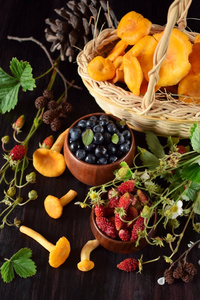 草莓, 野生越桔和 chanterelles.新鲜采摘的森林浆果和蘑菇照片